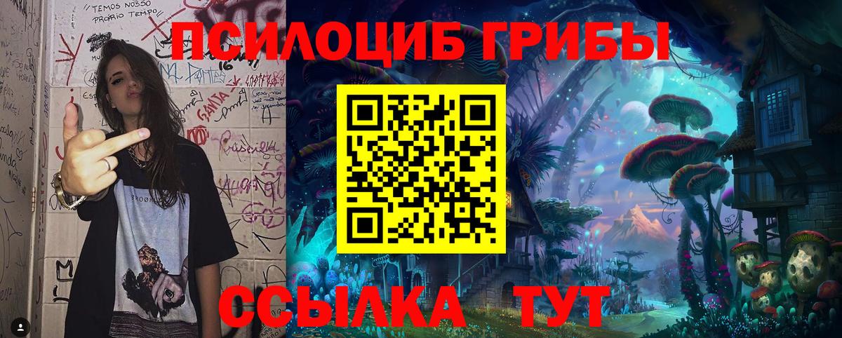 Абакан  Галлюциногенные грибы Magic Shrooms  Вход с VPN  Галлюциногенные грибы мухоморы 